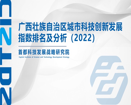 美女扣逼自慰射尿快淫【成果发布】广西壮族自治区城市科技创新发展指数排名及分析（2022）